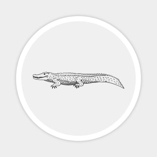 Saltwater Crocodile Magnet